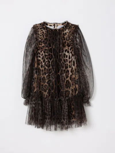 Dolce & Gabbana Kids' Anzug  Kinder Farbe Braun In Brown