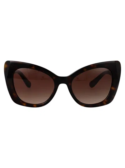 Dolce & Gabbana Sunglasses In Brown