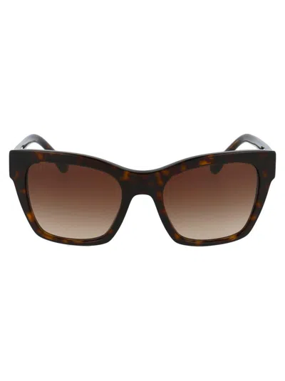 Dolce & Gabbana Sunglasses