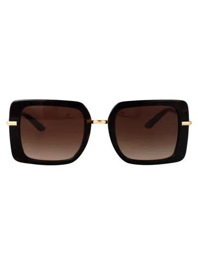 Dolce & Gabbana Sunglasses In Animal Print