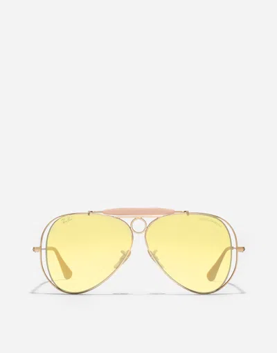 Dolce & Gabbana Sunglasses -202601 In Yellow