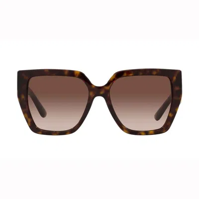 Dolce & Gabbana Sunglasses In 502/13