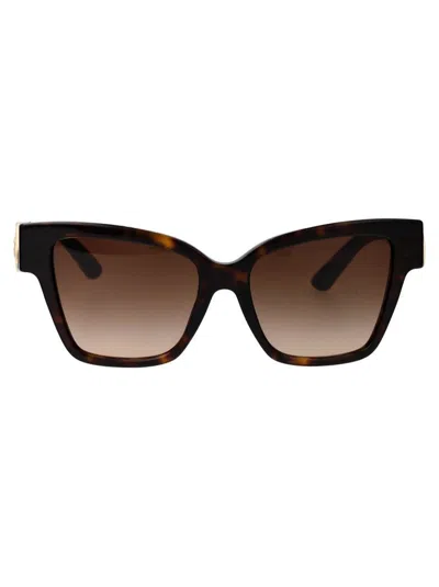 Dolce & Gabbana Full Frame Sunglasses In 502/13 Havana