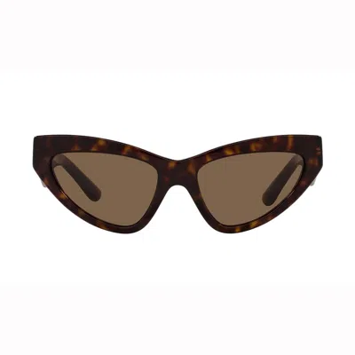 Dolce & Gabbana Sunglasses In 502/73