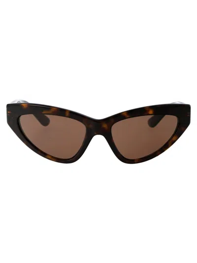 Dolce & Gabbana Sunglasses In 502/73 Havana