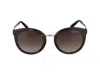 Dolce & Gabbana Sunglasses In Brown
