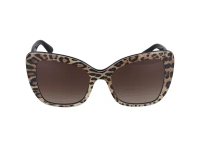 Dolce & Gabbana Sunglasses In Brown Leopard Print On Black