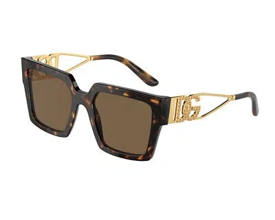 Pre-owned Dolce & Gabbana Sunglasses Dg4446b 502/73 Havana Brown Woman