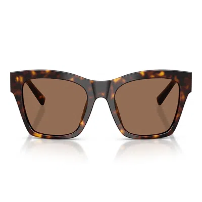 Dolce & Gabbana Havana On White Barrow Acetate Sunglasses In Brown