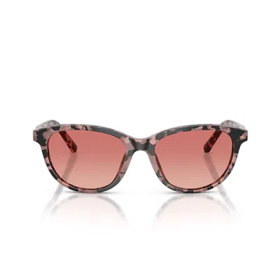Dolce & Gabbana Sunglasses Dx4010 3476 A5 Striped Pink/smoky Pink Children In Brown