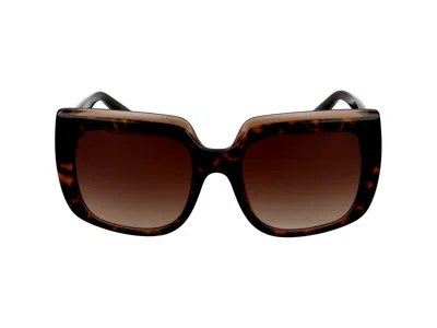 Dolce & Gabbana Sunglasses In Havana On Transparent Brown