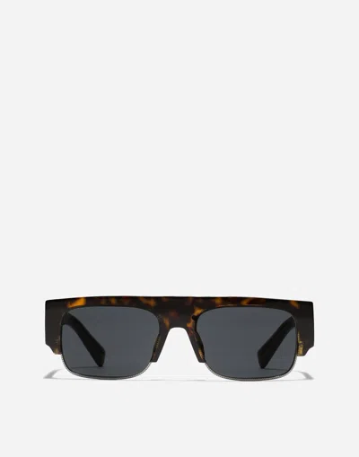 Dolce & Gabbana Sunglasses Lusso Sartoriale In Havana