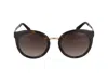 Dolce & Gabbana Sunglasses In Brown