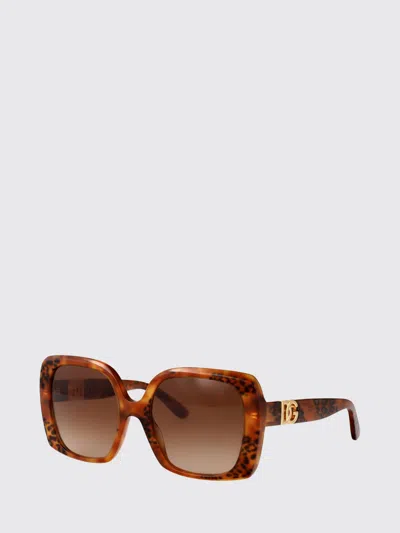 Dolce & Gabbana Havana Leo Acetate Sunglasses In Brown