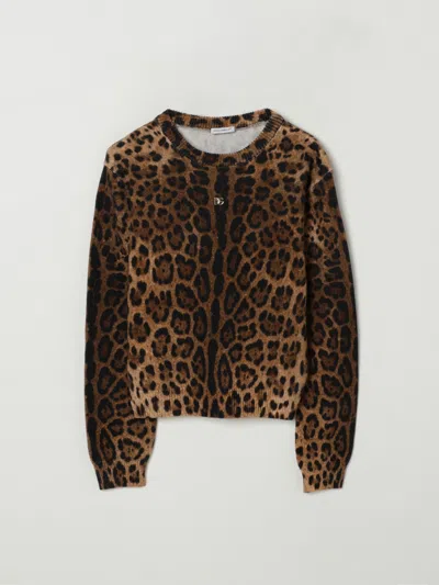 Dolce & Gabbana Sweater  Kids Color Black In Brown