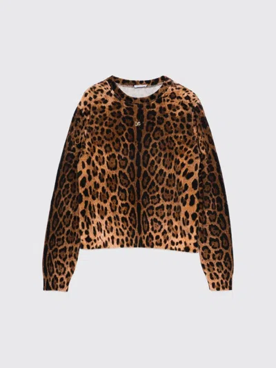 Dolce & Gabbana Sweater  Kids Color Brown