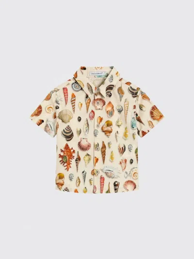 Dolce & Gabbana Babies' Shirt  Kids Color Multicolor