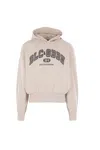 Dolce & Gabbana Hooded Sweatshirt In Jersey With Print In Neutral