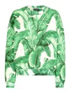 Dolce & Gabbana Round-neck Sweatshirt With Banana Tree Print In White