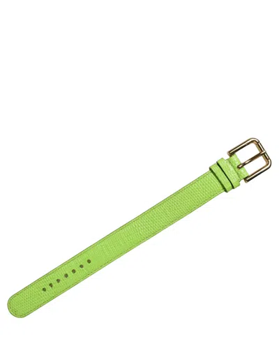Dolce & Gabbana Textured Calf Leather Belt In Green