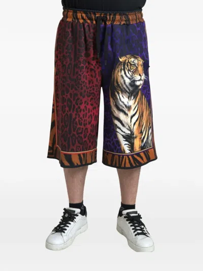 Dolce & Gabbana Tiger-print Leopard-print Shorts In Multi