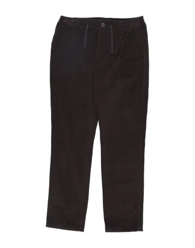 Dolce & Gabbana Babies' Pants In Brown