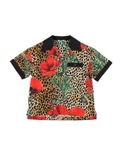 Dolce & Gabbana Babies'  Toddler Boy Shirt Sand Size 7 Cotton In Multi