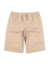Dolce & Gabbana Toddler Boy Shorts & Bermuda Shorts Beige Size 4 Cotton, Elastane, Polyester, Zamak In Multi