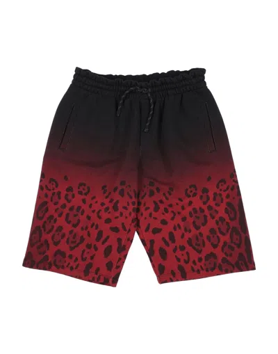 Dolce & Gabbana Babies' Shorts & Bermuda Shorts In Black