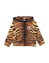 Dolce & Gabbana Toddler Boy Sweatshirt Sand Size 5 Cotton, Wool, Acrylic, Polyester In Brown