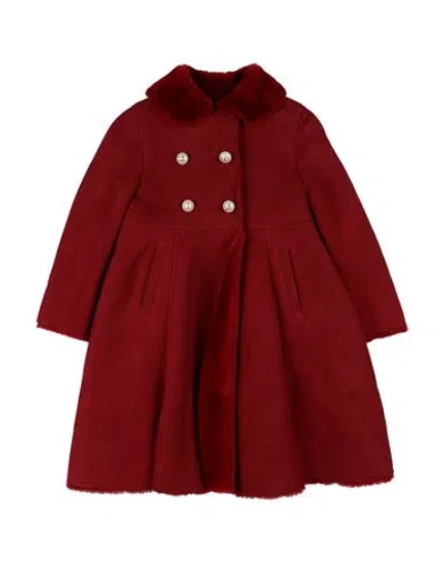 Dolce & Gabbana Babies'  Toddler Girl Coat Burgundy Size 4 Lambskin In Red
