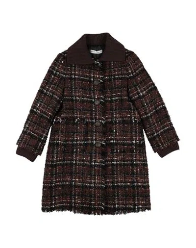 Dolce & Gabbana Babies'  Toddler Girl Coat Dark Brown Size 5 Synthetic Fibers, Virgin Wool, Mohair Wool, Cott