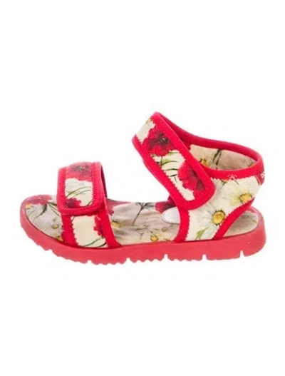 Pre-owned Dolce & Gabbana Babies' Toddler Girl's Floral Velcro Strap Sandals In Red