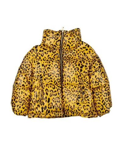 Dolce & Gabbana Babies'  Toddler Girl Puffer Marigold Size 3 Polyester In Yellow