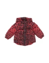 Dolce & Gabbana Newborn Girl Puffer Red Size 3 Polyamide, Viscose In Red