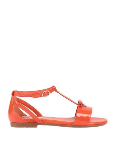 Dolce & Gabbana Babies'  Toddler Girl Sandals Orange Size 9c Calfskin