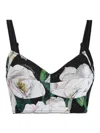 Dolce & Gabbana Gardenia Printed Marquisette Crop Top In Multicolour