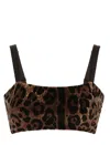 Dolce & Gabbana Cropped Leopard-jacquard Cotton-blend Chenille Top In Brown