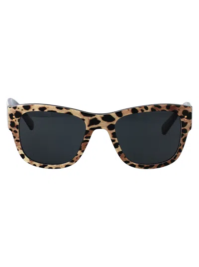 Dolce & Gabbana Top Con Stampa Leopardo Su Nero Acetate Sunglasses In Neutral