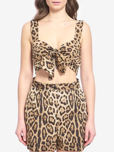 Dolce & Gabbana Leopard Print Poplin Top In Multi