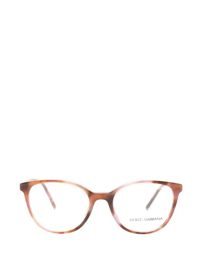 Dolce & Gabbana Tortoiseshell-effect Cat-eye Glasses In Multi