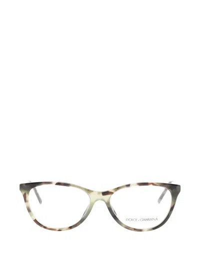 Dolce & Gabbana Tortoiseshell-effect Glasses In Multi