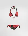 Dolce & Gabbana Bikini Triangle À Imprimé Roses In Multi