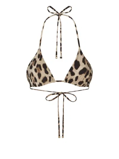Dolce & Gabbana Triangle Bikini Top In Brown