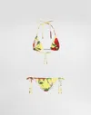 Dolce & Gabbana Triangle Bikini With Floral Bouquet Print In Print