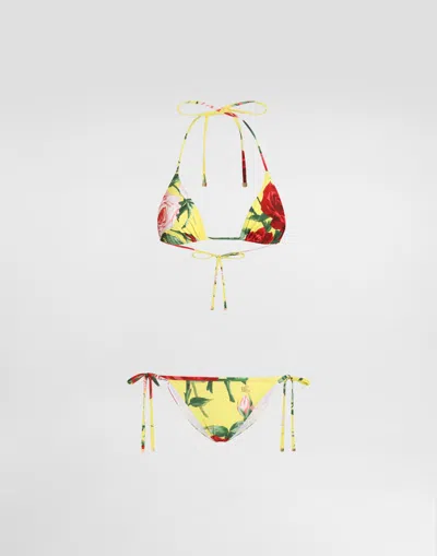 Dolce & Gabbana Triangle Bikini With Floral Bouquet Print