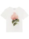 Dolce & Gabbana Jersey T-shirt With Print And Dg Logo In White