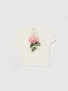 Dolce & Gabbana Jersey T-shirt With Print And Dg Logo In White