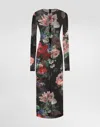Dolce & Gabbana Tulle Calf-length Dress With Floral Print In Stampa