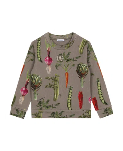 Dolce & Gabbana Vegetable-print Crew-neck Sweatshirt In Gray